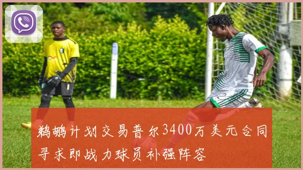 鹈鹕计划交易普尔3400万美元合同寻求即战力球员补强阵容