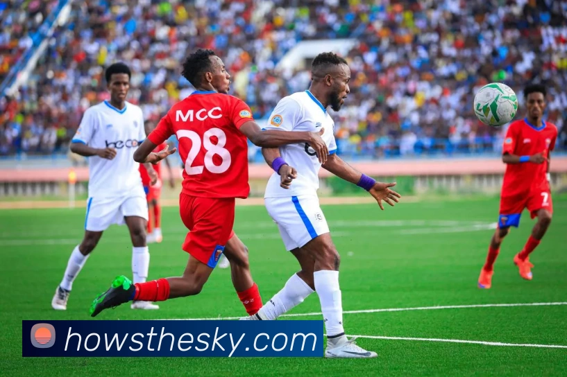 体育数据展示